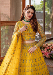 Akbar Aslam Shehernaz Mastani Wedding Formals Online Shopping