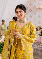 Akbar Aslam Meena Shadmani Luxury Formal Collection Online Shopping