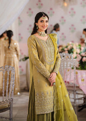 Akbar Aslam Meharzad Shadmani Luxury Formal Collection Online Shopping