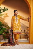 Dhanak  DU3085  Spring Summer Lawn  2022 Online Shopping