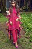 Hemline Blooming Celosia Lawn 2021
