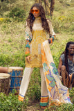 Hemline Golden Spice Lawn 2021