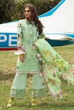 Hemline Spring Bud Lawn 2021