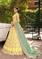 Akbar Aslam Ilona Layali Wedding Collection Online Shopping