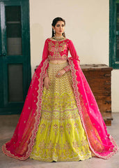 Akbar Aslam Elara Layali Wedding Collection Online Shopping