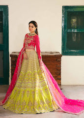 Akbar Aslam Elara Layali Wedding Collection Online Shopping