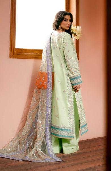 Maryum N Maria Zara MS24-566 Online Shopping – Original Brand