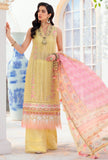 Saadia Asad NLCL22-D2-B Noor Chickenkari Lawn  2022 Online Shopping