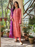 D 6a Rajbari Winter Shawl 2021