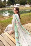 Sable Vogue Ivy Online Shopping