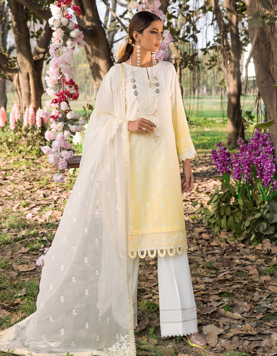 Sifa Amber Cocktail Lawn 2022 Online Shopping