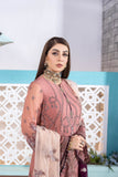 Flossie Bridal Rose Safeera Chiffon Vol 10 2022 Online Shopping