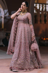 Elan Aysel (EC2-23-03) Wedding Festive Collection Online Shopping