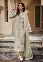 AIK Atelier Look 4A Lawn Vol 8 2022 Online Shopping