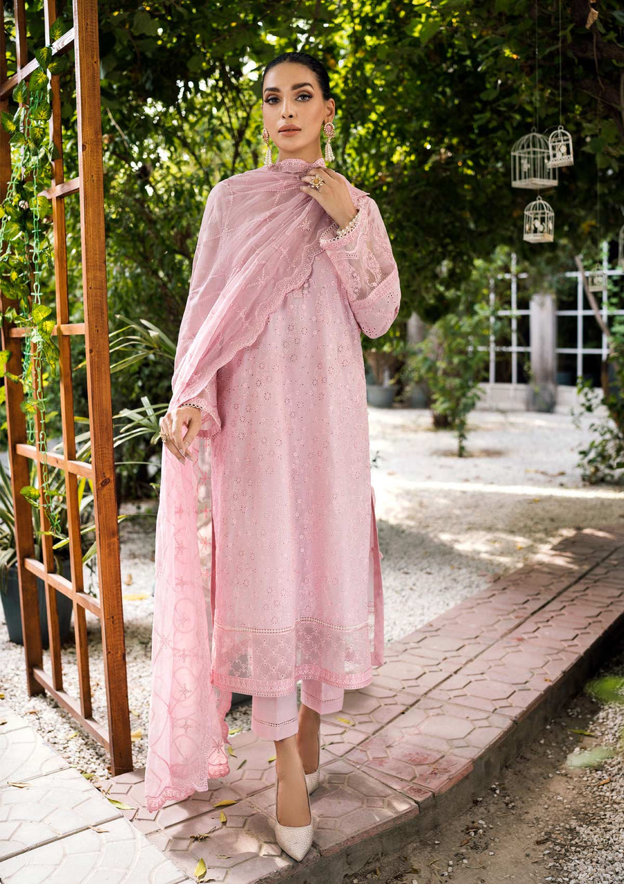 AIK Atelier Look 02 :awn Vol 4 2022 Online Shopping