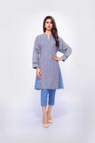 Bareeze Fantasy  Ch2856 Ferozi Collection 2021