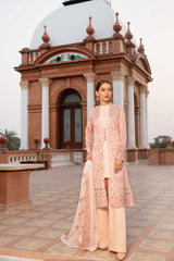 Bareeze Geometric Embroidery Bnl970 Light Pink Collection 2021