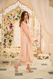 Dhanak DL-0256 Orange Pret Online Shopping