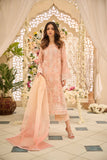 Dhanak DL-0256 Orange Pret Online Shopping