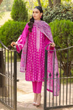 Gul Ahmed BN-32002 Pre Cambric Collection Online Shopping