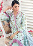 Gul Ahmed CL893 Basic Lawn 2021