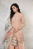 Maria B Suit Peach SF-PF22-01 Evening Wear Prets 2022 Online Shopping
