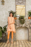 Bareeze Subtle Beauty Bnl693 Light Orange Collection 2021